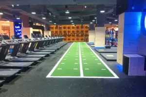 Gymnations